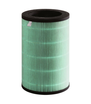 Фильтр Electrolux FAP-2050 ANTI SMOG ACTIVE